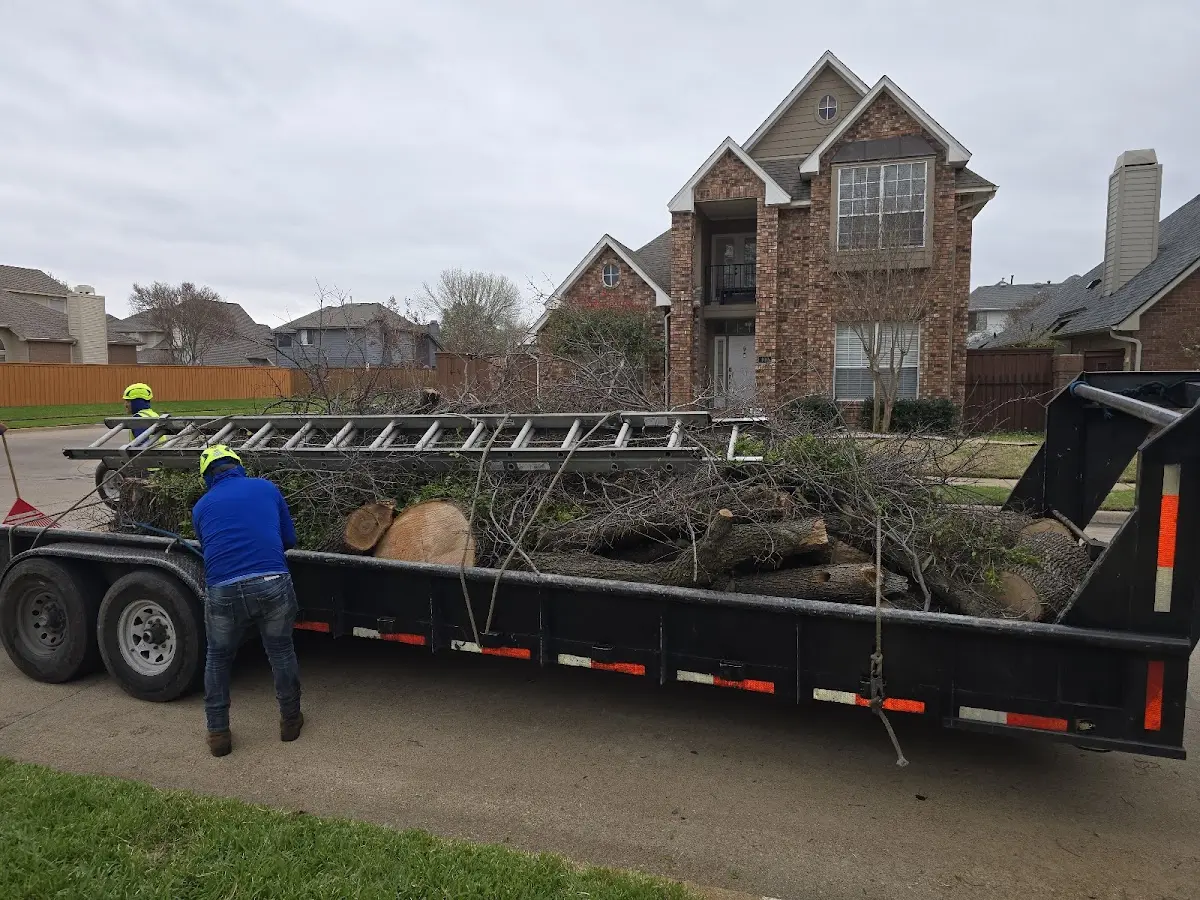 Expert Tree Removal with proper safety equipment in Reisterstown